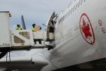 Employees bringing cargo into Air Canada plane