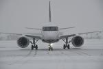 Airbus A220 on the snowy ground